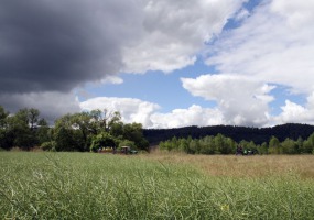 IMG_4583-web