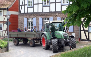 IMG_4596-web