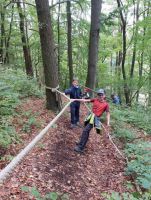 im-Wald-am-Tau