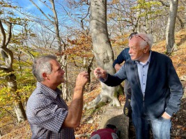 IMG-20221030-WA0008-web