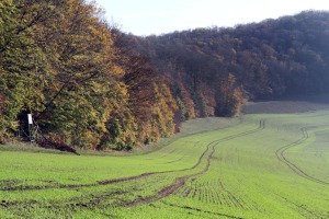 IMG_2365-web