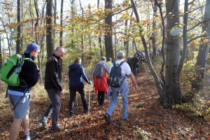 IMG_2375-web