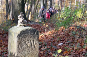 IMG_2396-web