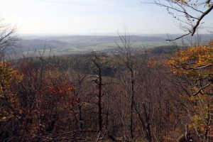 IMG_2452-web
