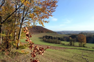 IMG_2483-web