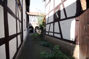 IMG_9981-web