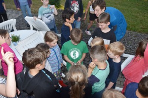 DSC_0099-web