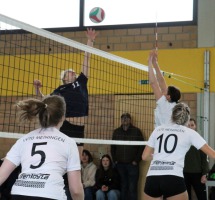 IMG_6349-web IMG_6349-web