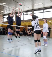 IMG_6355-web IMG_6355-web