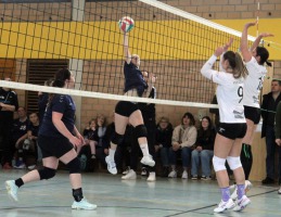 IMG_6366-web IMG_6366-web