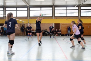 IMG_6388-web IMG_6388-web