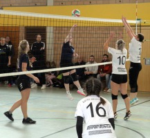 IMG_6421-web IMG_6421-web