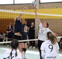 IMG_6424-web IMG_6424-web