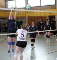 IMG_6431-web IMG_6431-web