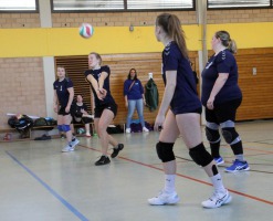 IMG_6448-web IMG_6448-web