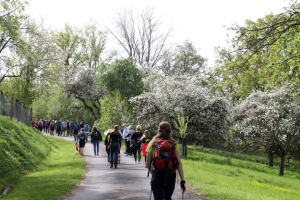 IMG_7828-web IMG_7828-web