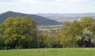 IMG_7842-web IMG_7842-web