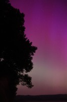 IMG-20240516-WA0004-web