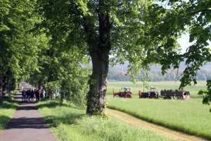 IMG_8752-web