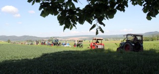 IMG_8836-web