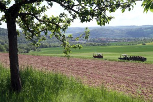 IMG_8871-web